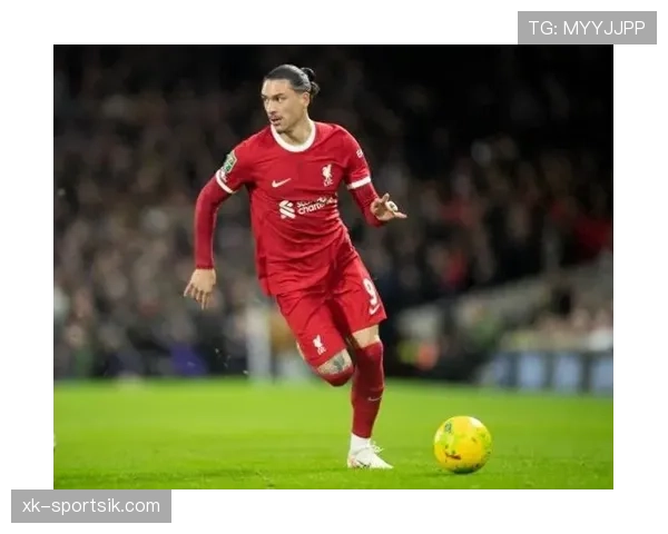 努涅斯英超首季表现是否达标